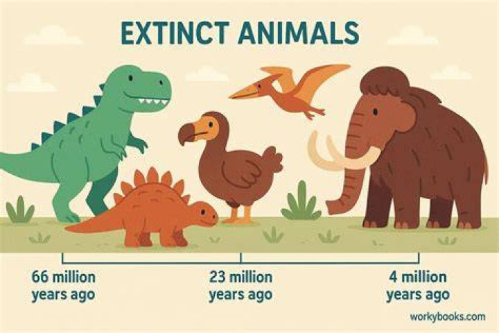 What does extinction stand for?