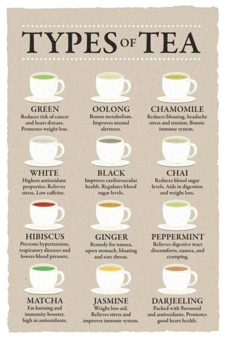 What does have some tea mean?