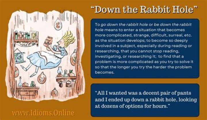 What does it mean to go down the rabbit hole?
