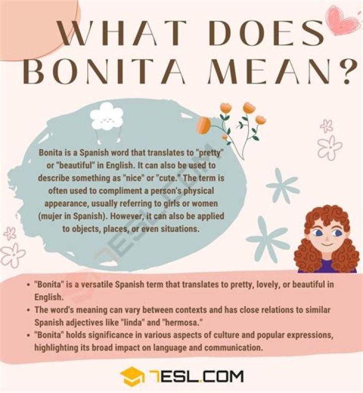 What does it mean to say Lost in Translation?
