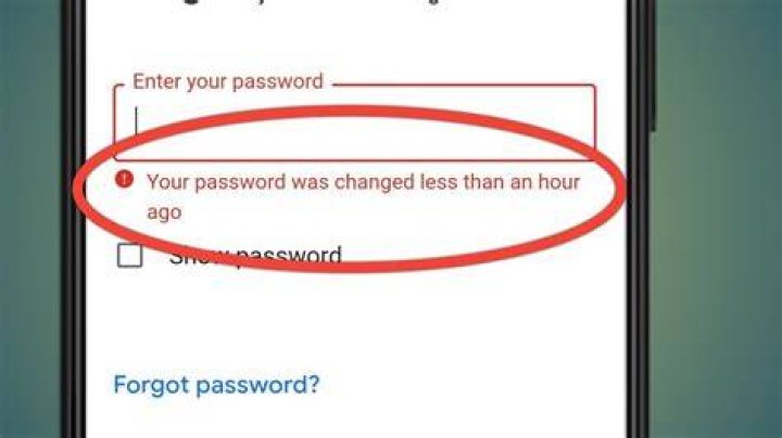 What does it mean when Google says your password was changed less than an hour ago?