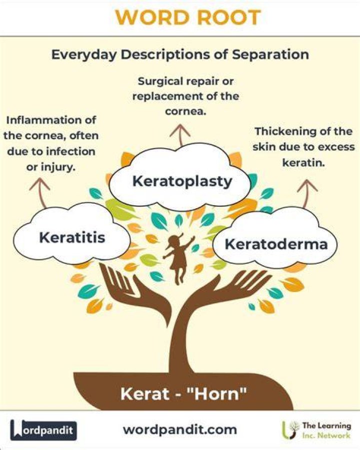 What does Kerat mean in medical terms?