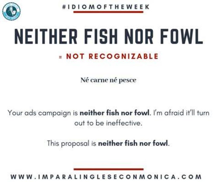 What does neither fish nor fowl meaning?