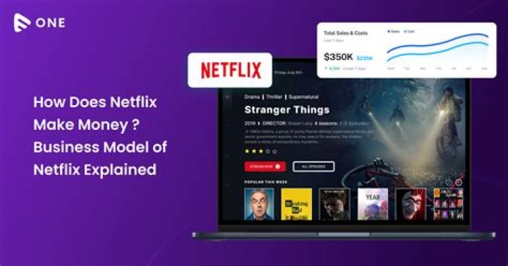 What does Netflix mean?