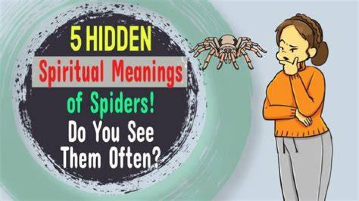 What does seeing a big black spider mean?