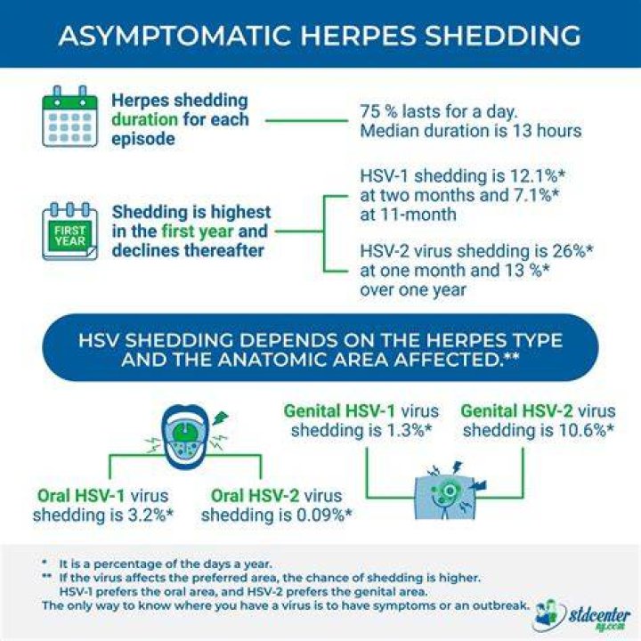 What does shedding light mean?
