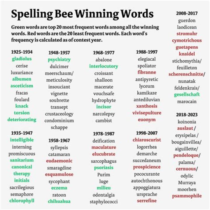 What does spelling bee words mean?
