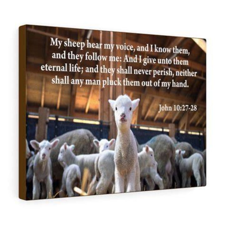 What does the Bible say about my sheep know my voice?