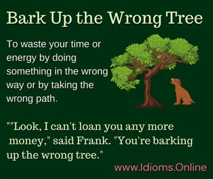 What does the idiom your barking up the wrong tree mean?