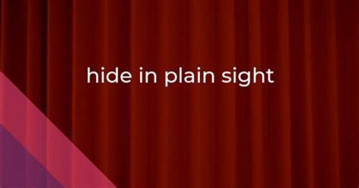 What does the phrase hidden in plain sight mean?