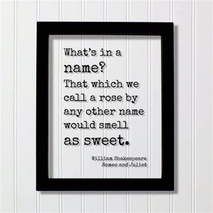 What does the saying a rose by any other name mean?