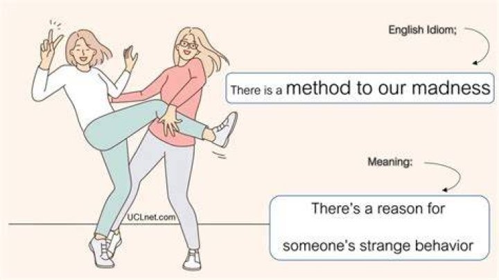 What does there is a method to my madness mean?