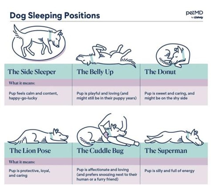 What does this position mean?