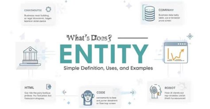What entity means?