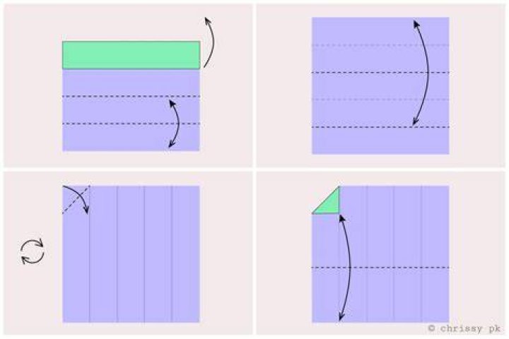 What figures can you form when you fold a square in half?