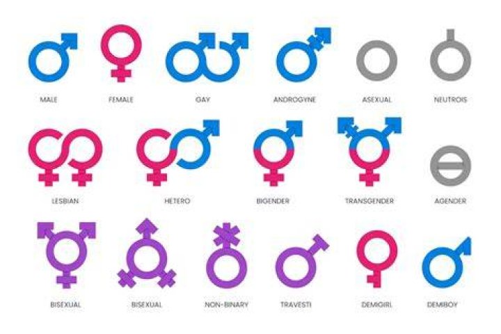 What gender are pawns?