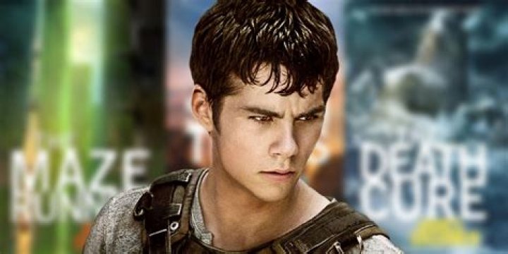 What happened at the end of the maze?