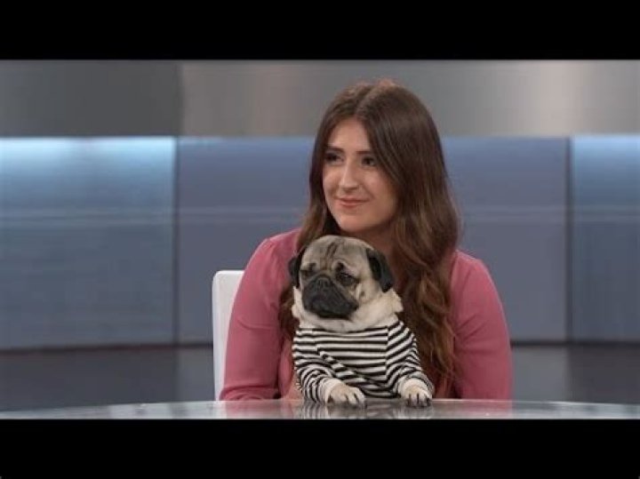 What happened to Doug the pug?