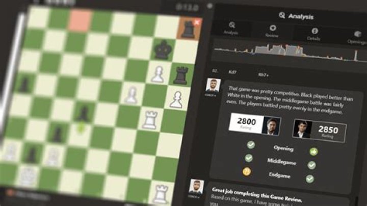What happens if you report someone in chess com?