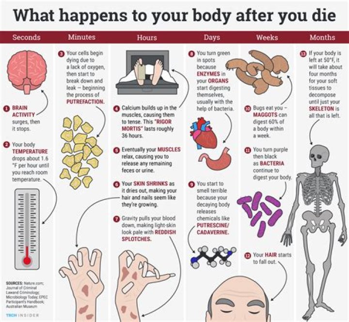 What happens when you see a person die?
