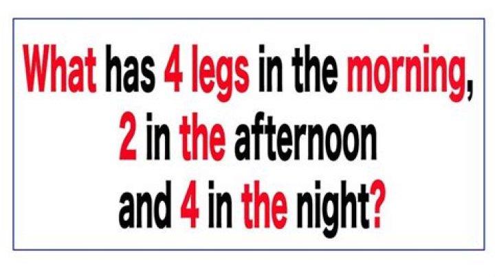What has 4 legs in the morning and 2 in the afternoon and 3 in the evening?