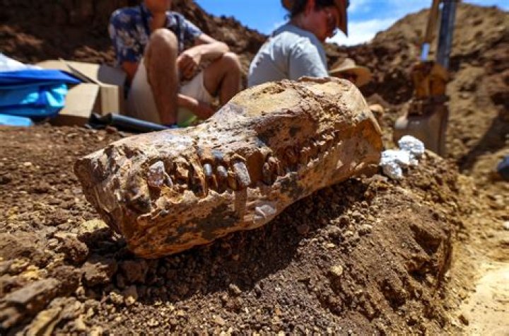 What have archaeologists discovered in the Sahara?