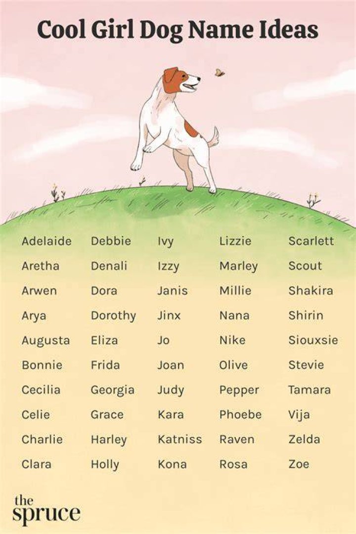 What is a good name for a cute puppy?