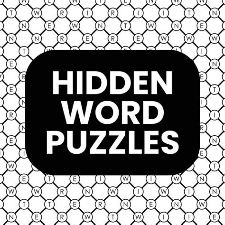 What is a hidden word puzzle?