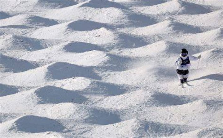 What is a mogul field in skiing?