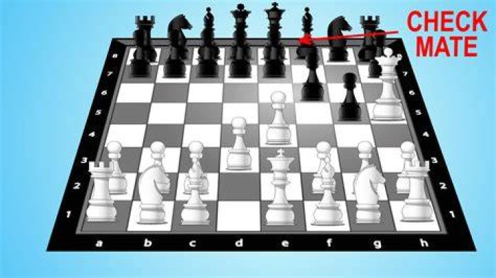 What is a perfect checkmate?