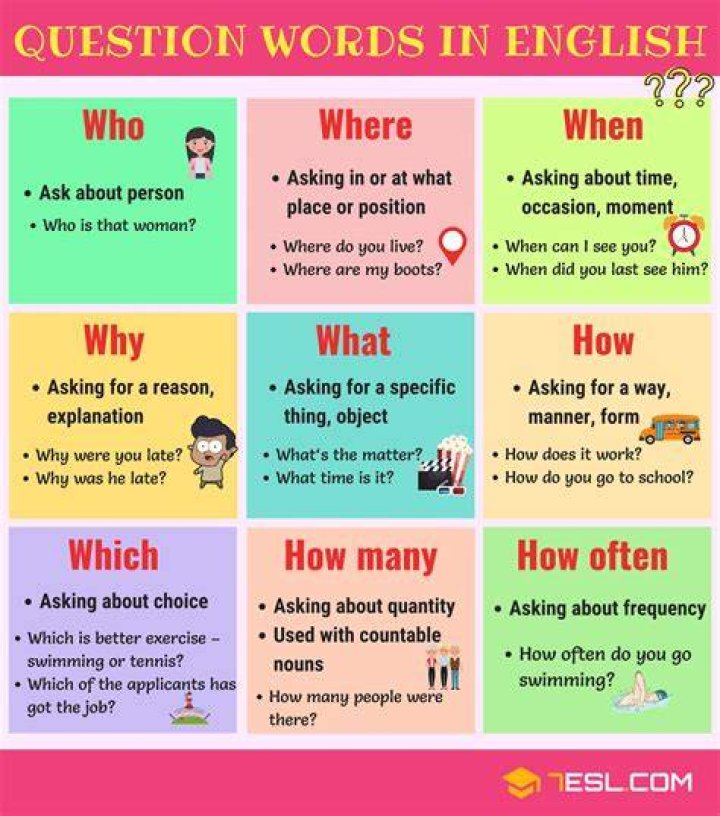 What is a special question?