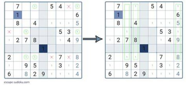 What is a Sudoku swordfish?