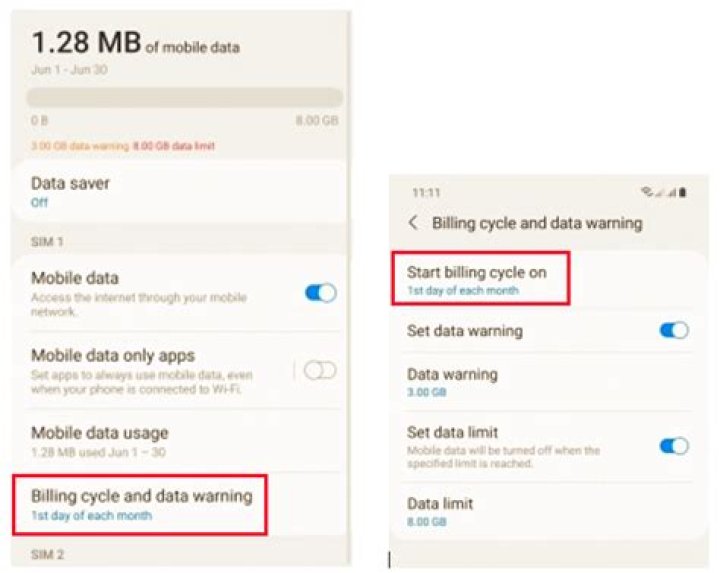 What is a usage cycle reset date?