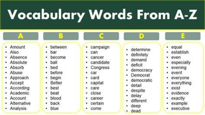 What is a vocabulary word examples?