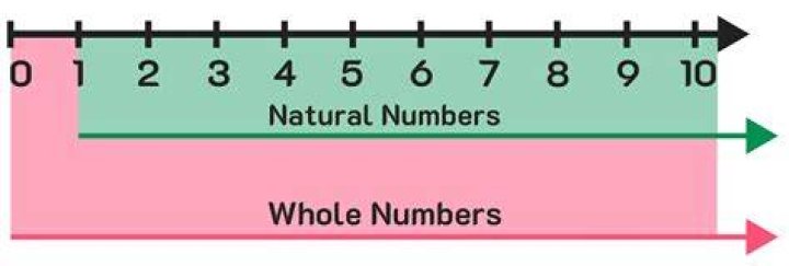 What is a whole number sequence?