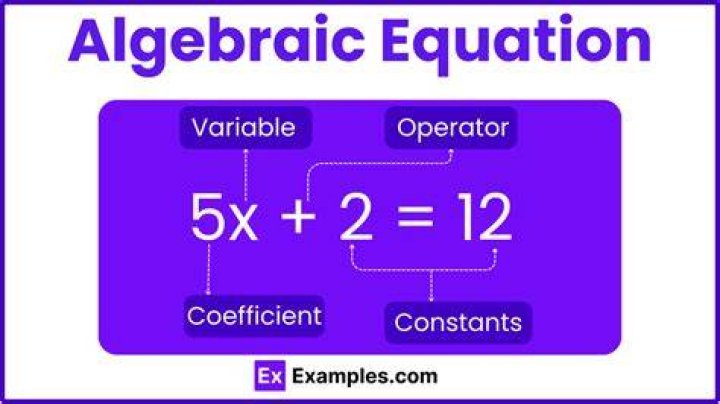 What is an example of a algebraic equation?