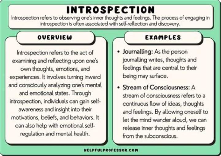 What is an example of introspective?