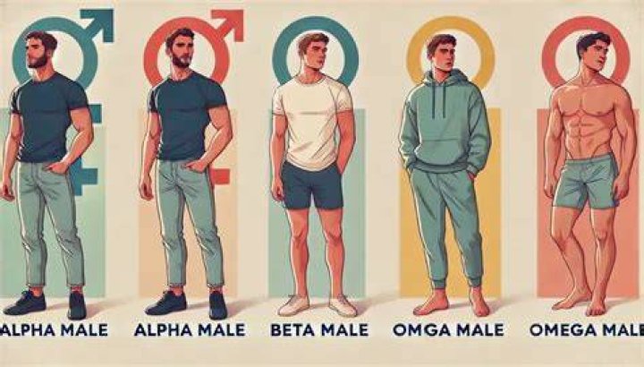 What is an omega in a relationship?