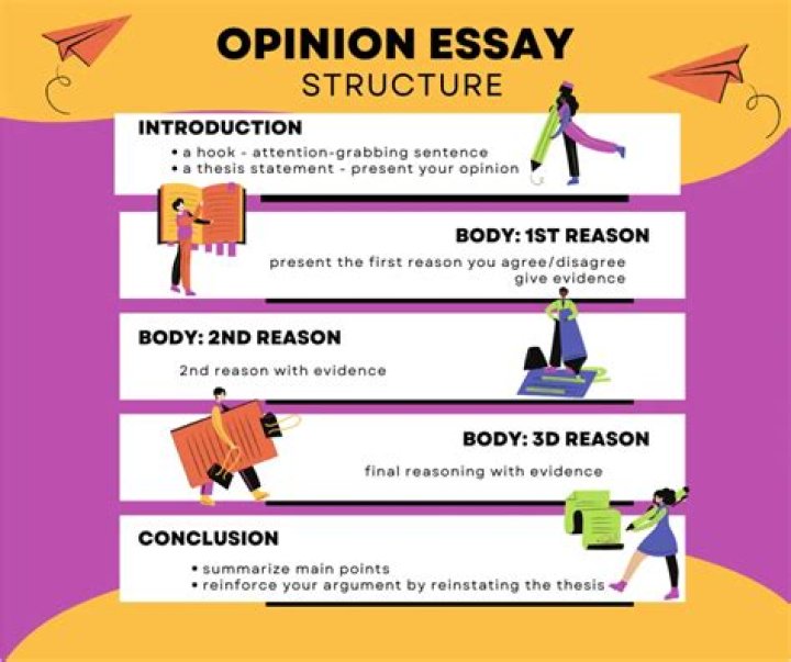 What is an opinion based essay?