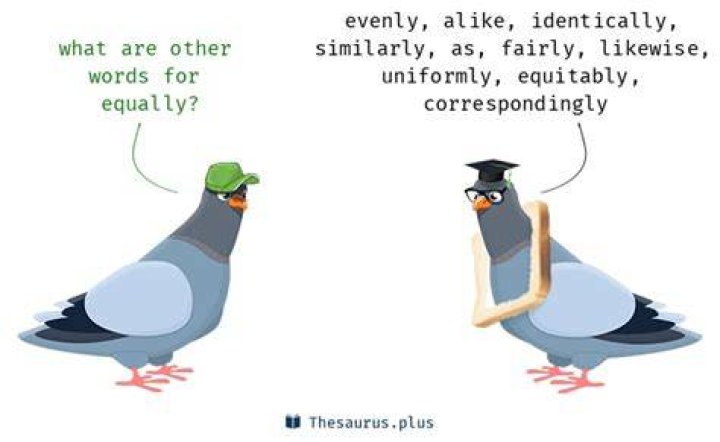 What is another word for equally?