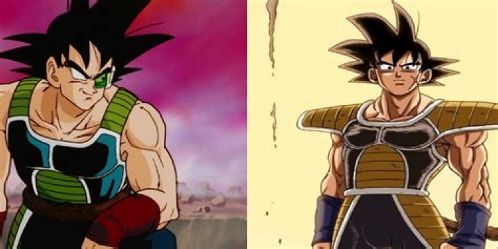 What is bardock named after?