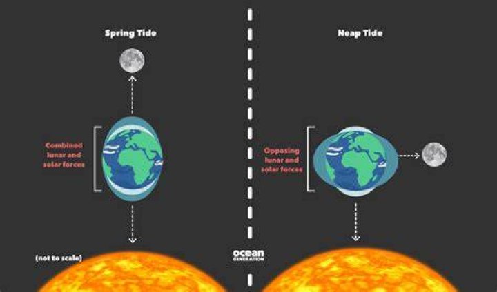 What is considered high tide?