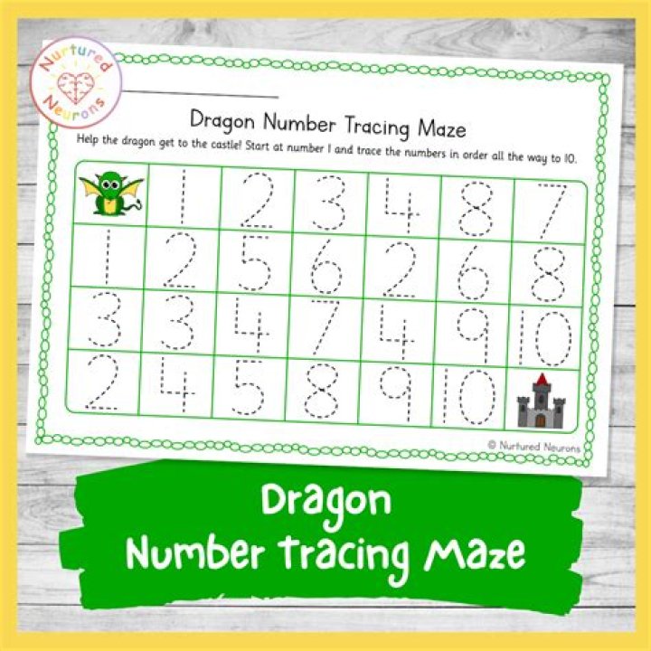 What is Dragon number?