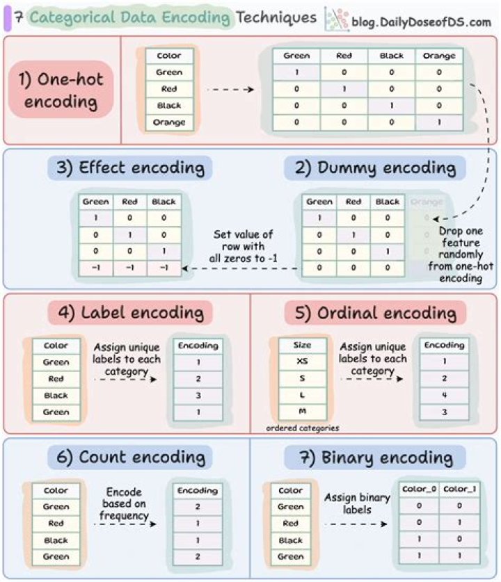 What is encoded for encoding?