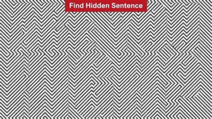 What is hidden sentence?