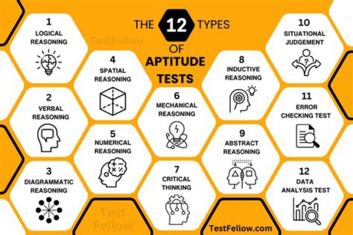 What is in an aptitude test?