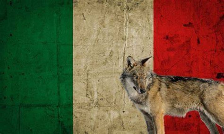 What is Italy favorite animal?