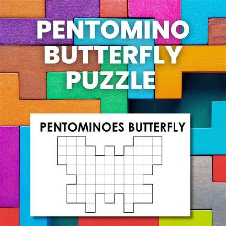 What is meant by Pentomino give one example?