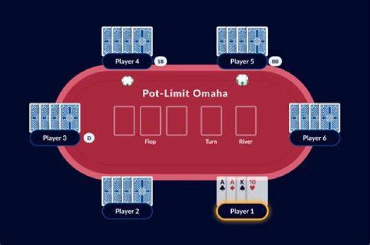 What is Pot Limit Omaha 8 or better?