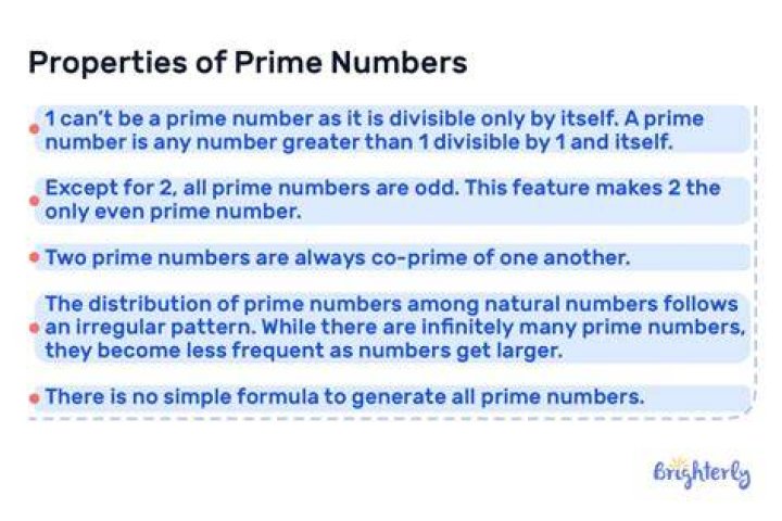 What is prime number in math?